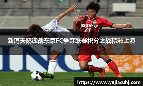新泻天鹅迎战东京FC争夺联赛积分之战精彩上演