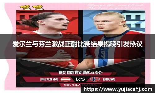爱尔兰与芬兰激战正酣比赛结果揭晓引发热议